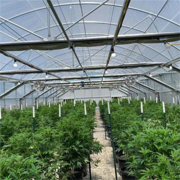 100% Shading Black Out Greenhouse Fully Automated Hydroponic Polytunnel Light