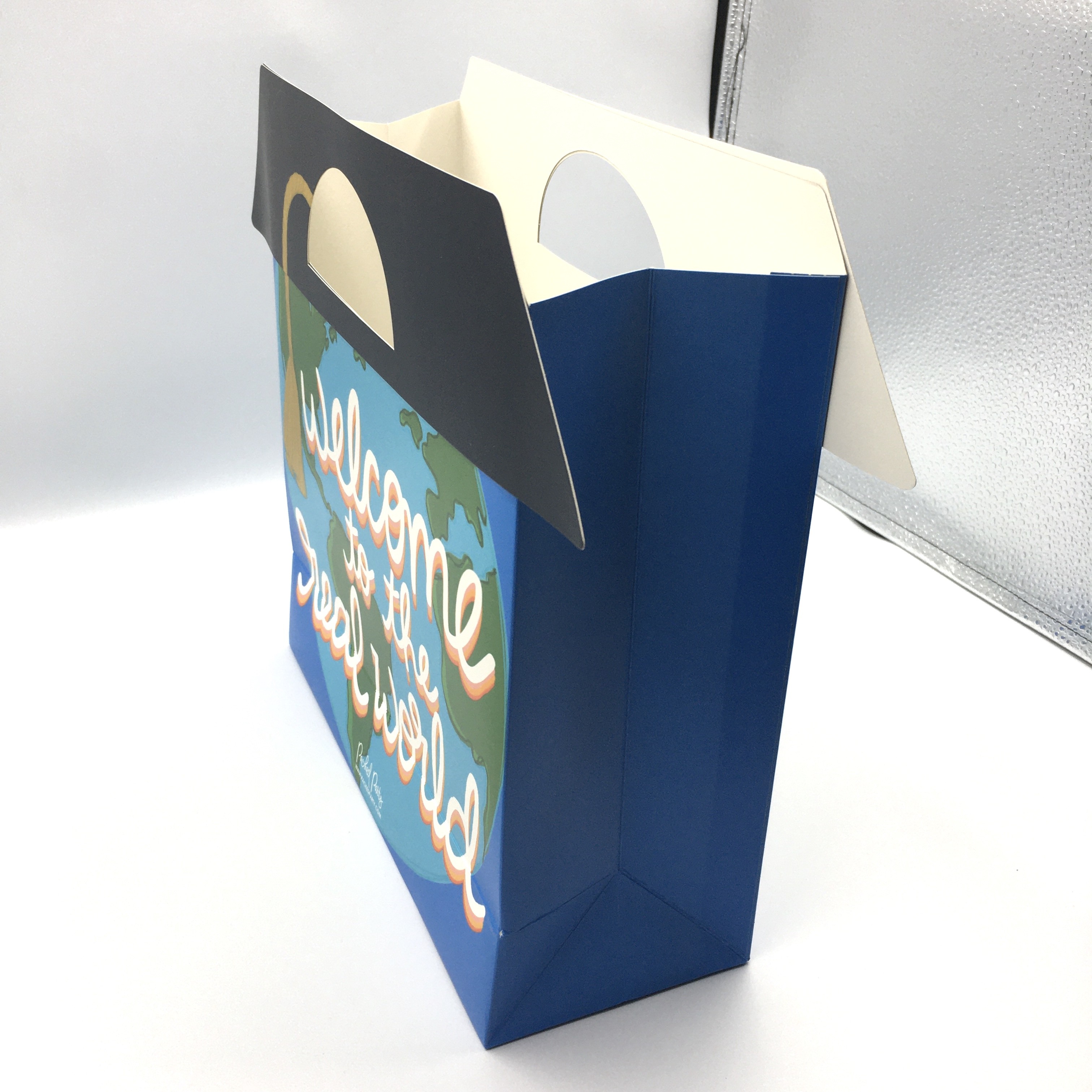 157g SGS Shopping Christmas Gift Paper Bag Recycled Printed With Twisted Rope Handles