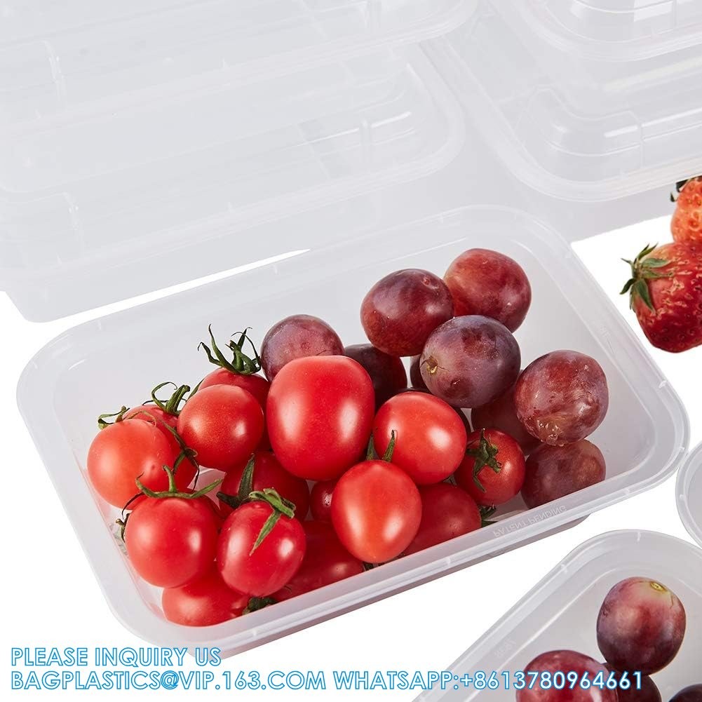 Compartment 24 OZ Meal Prep Plastic Food Storage Containers Reusable Lunch Bento Box With Lids Spill Proof