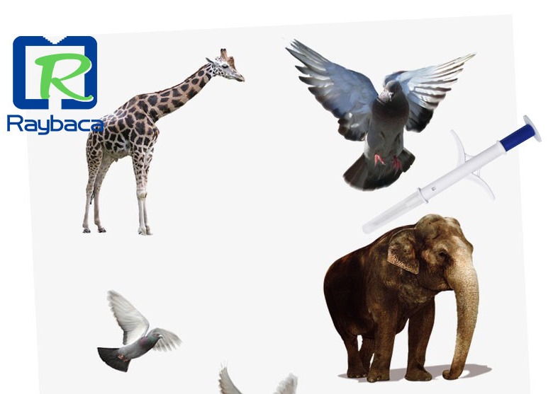 Three Size Animals Identification Microchip Syringe With ICAR Number