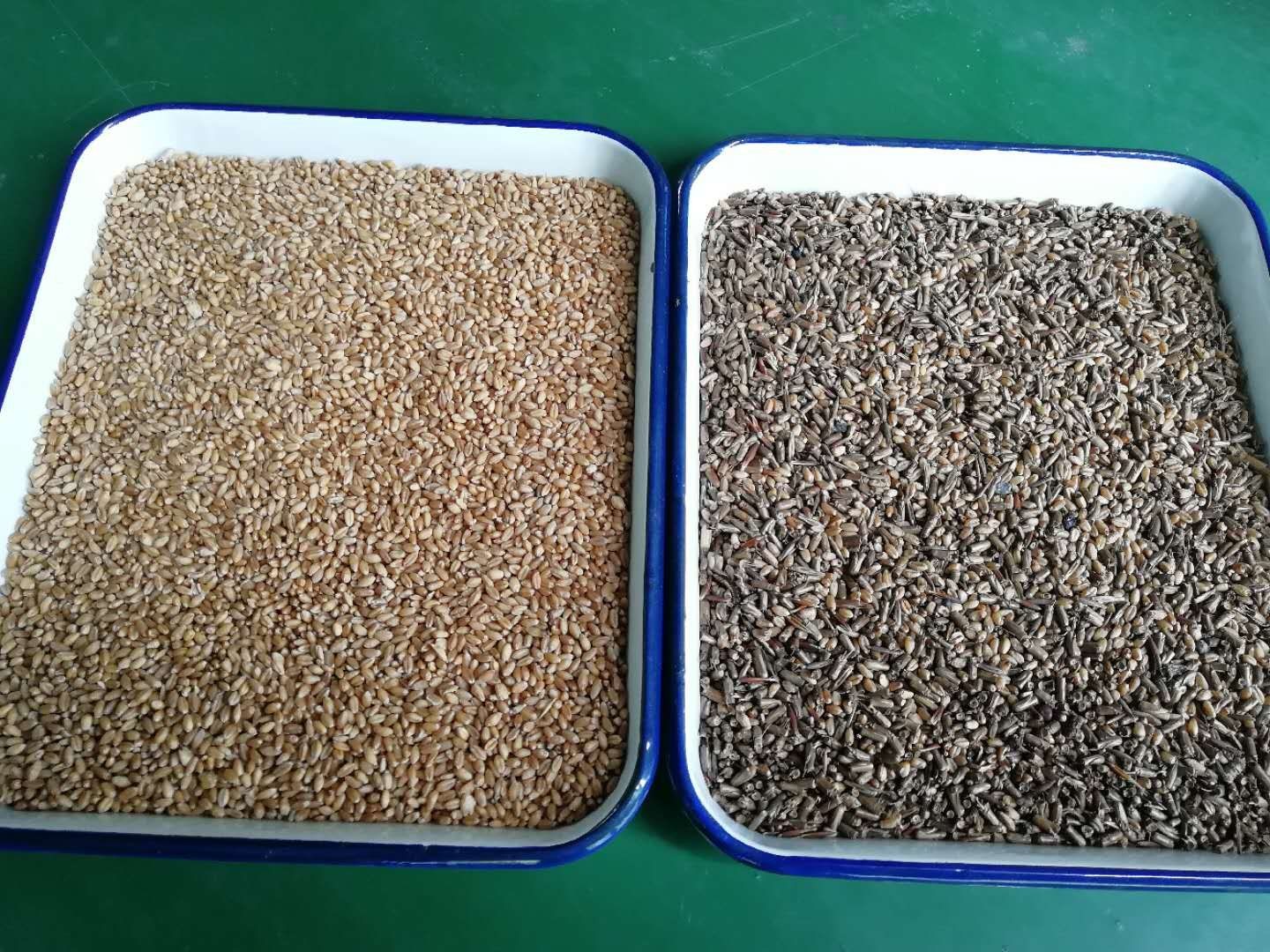 Corn Quinoa Wheat Sesame Rice Color Sorter Multifunction Automatic Ccd Optical