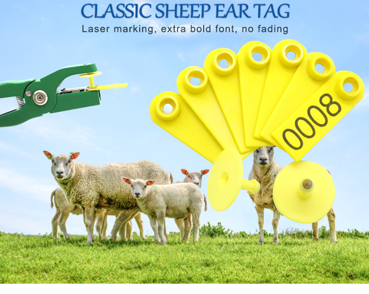 52*18mm Livestock ID Tags Custom Printed Sheep Goat Ear Tags