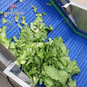 vegetable drying equipment Fruit and vegetable selection washing and drying