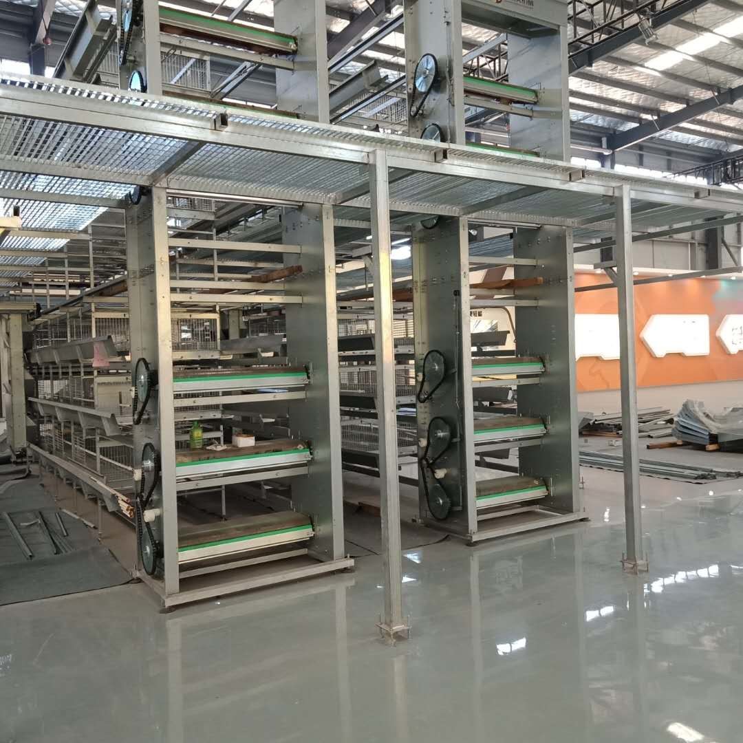 Multi Level Power Automatic Layer Poultry Equipment For Manure Cleaning