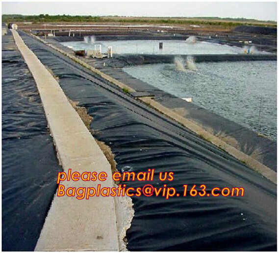 2mm HDPE reinforced polypropylene geomembrane for landfill,Geomembrane fish farming Pond Liner Hdpe Geomembrane BAGPLAST