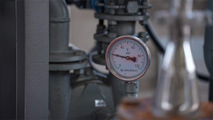 -Origin Pectin Production Line for White and Reliable Output