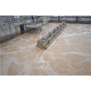 Sequence Batch Reactor Food Processing SBR Wastewater Treatment