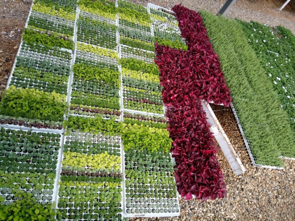 Tear Resistant EPP Foam Hydroponic Seed Starting Trays Reusable 21 Hole