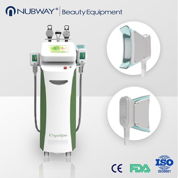 Quality 2015 advanced cryolipolysis freezing fat cell slimming / cryolipolysis & ultrasonic machin for sale