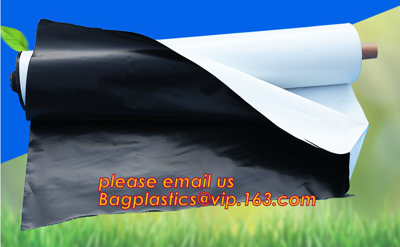 Transparent / Black / Silver / White color Plastic PE LDPE Agriculture Mulching Film,panda strawberry mulch film/black w