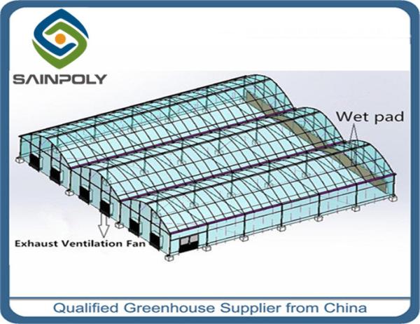 Economical Gothic Arch Greenhouse , Commercial Greenhouse Structures Customized