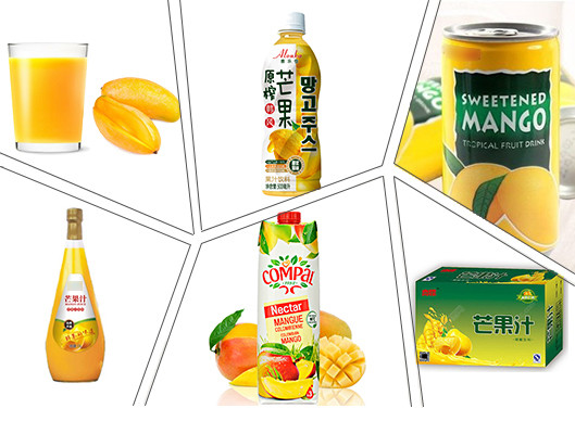Customized 10T/H SS Mango Pulp Production Line