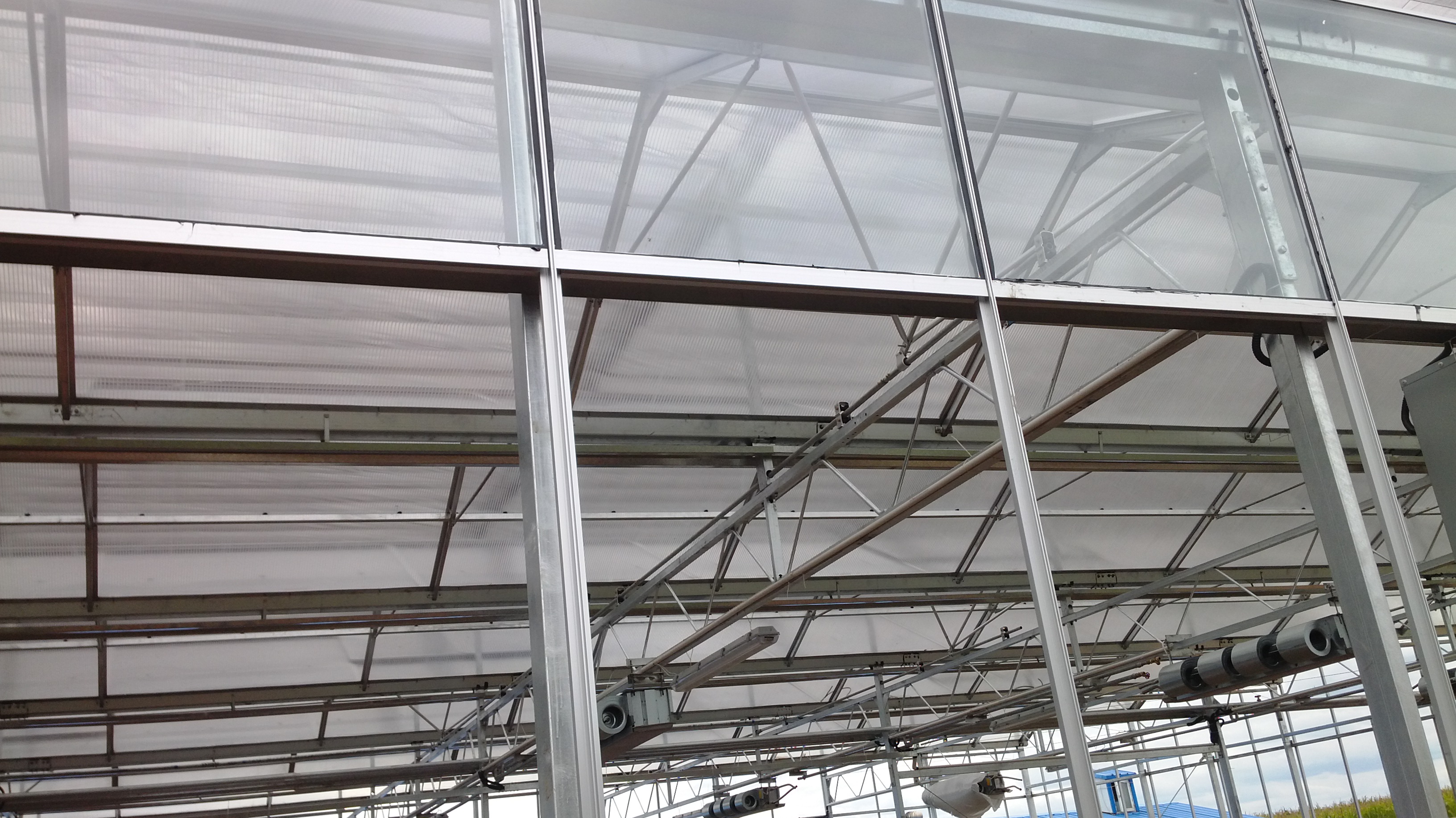 High-Efficiency Agricultural Greenhouse Production Greenhouse With Plastic Film