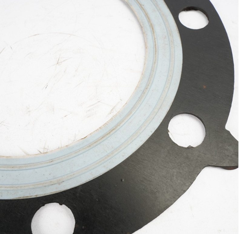 PTFE Composite Food Grade Rubber Flange Gasket Customized Size