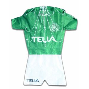 Easy Control Promotional Kites  Convenient Carry Durable High Performance