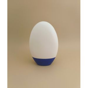 White Smooth Plastic Bottle with Blue Lid for Shampoo
