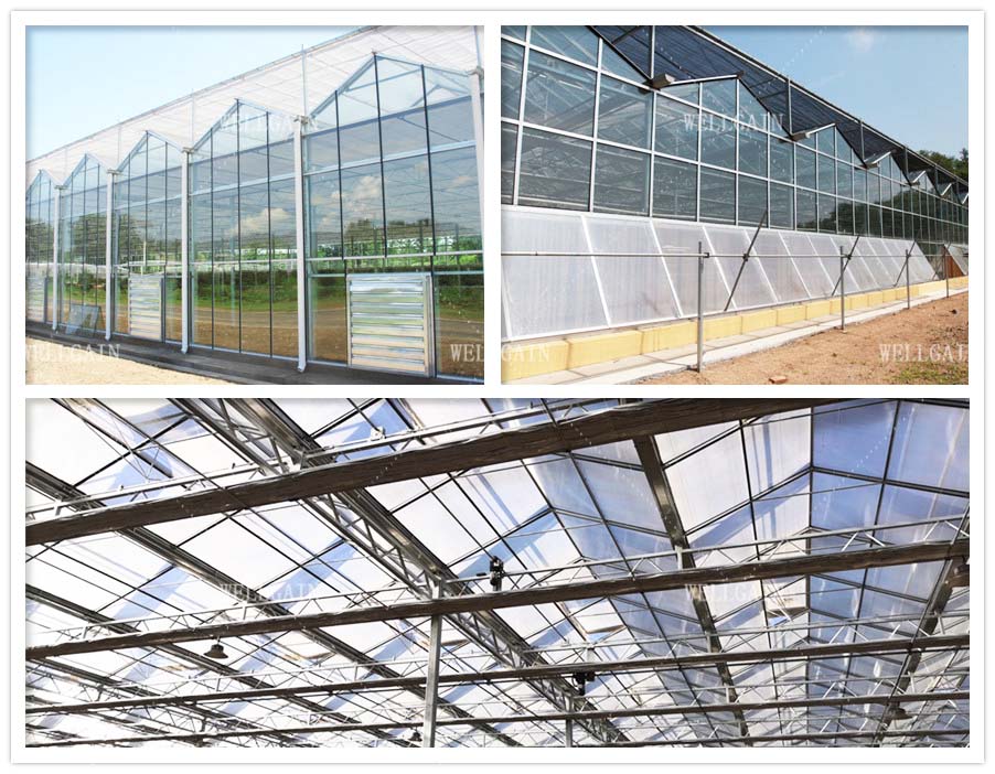Hydroponic Transparent Glass Greenhouse For Plants With Ventilation Cooling System