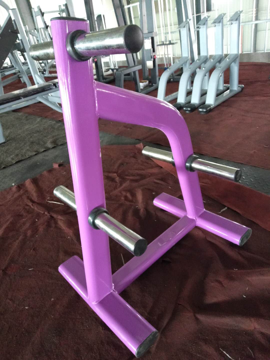 Befreeman Hot Sale Gym Fitness Equipment Weight Plate Rack