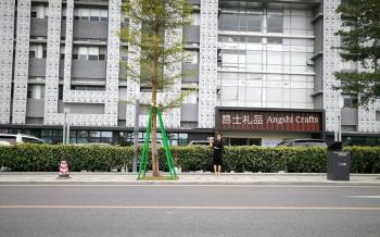 Shenzhen Youngth Craftwork Co., Ltd.