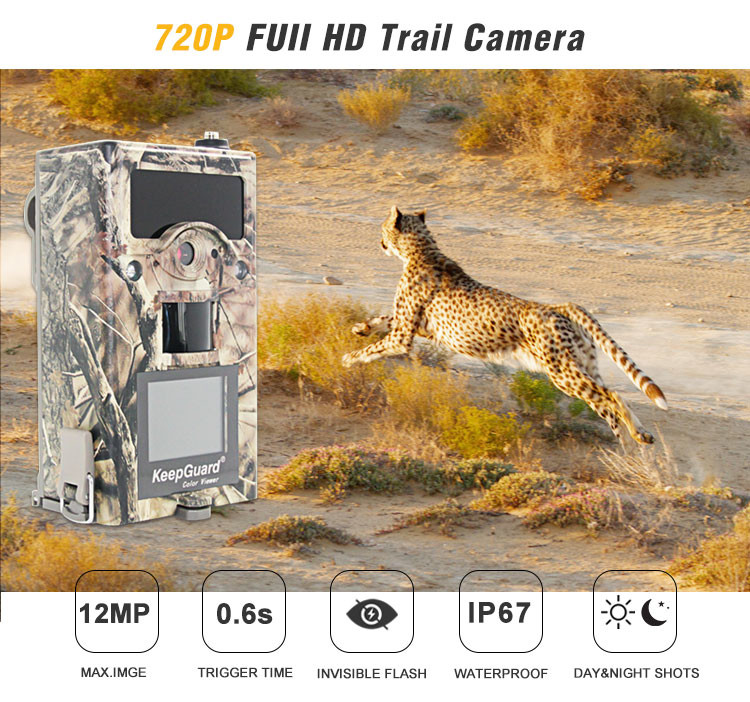 250g Scouting Trail Camera That Sends Pictures To Cell Phone / 12mp 3g Hunting Camera Waterproof hunting camera