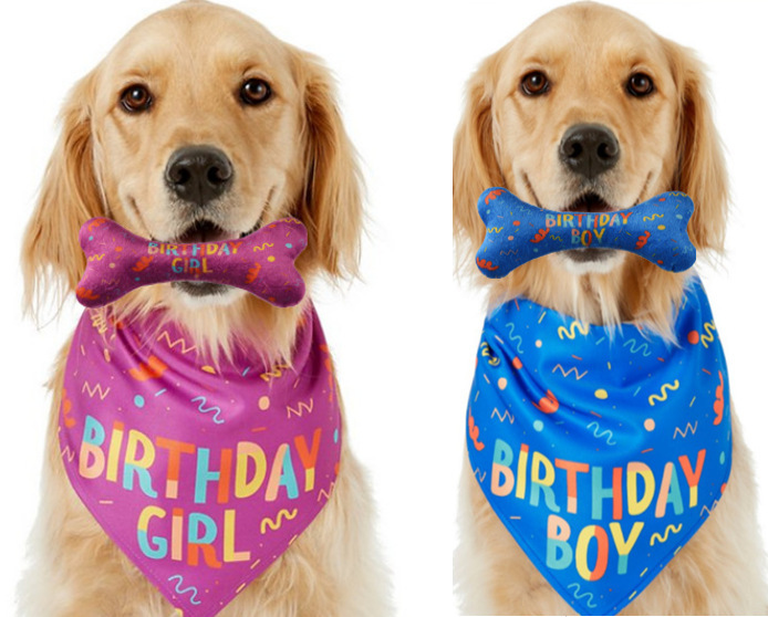 Dog Birthday Stocked Occasion Bandana Bone Chew Toy Set Pet Custom Printed Bandanas
