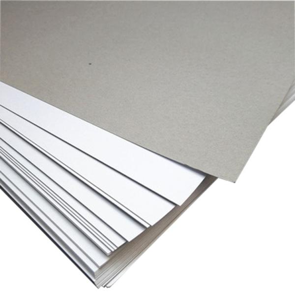 250gsm 300gsm 350gsm Grey Back Coated Duplex Board Single Side For Digital