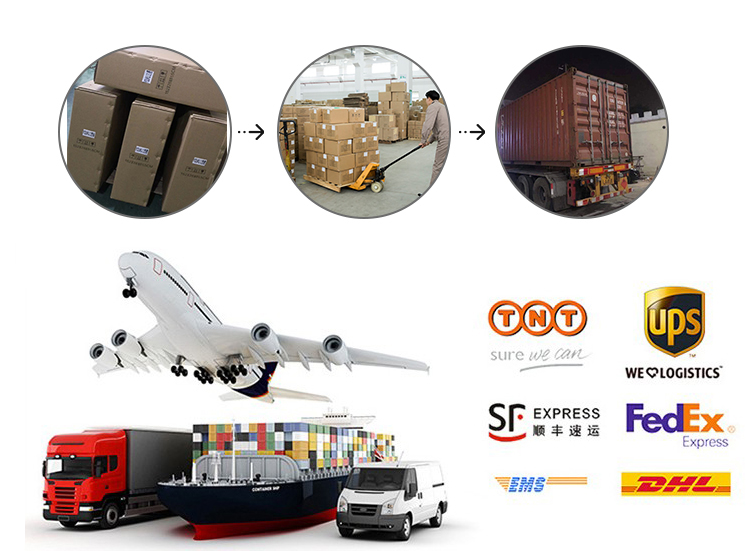 Private Mold 12 Inch Rugged Industrial Tablet Computer with GPS and Waterproof Design