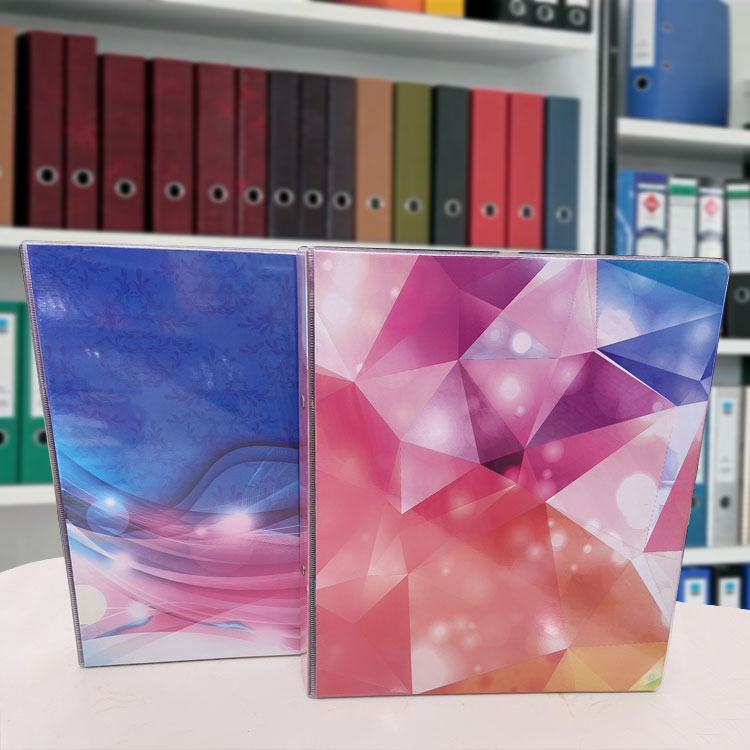 Custom A4 Pearlescent Printing PVC Binder Paper Folder with PVC Material and BOX FILE