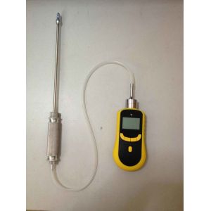 SKY2000 Pump-Type Methyl Bromide Detector CH3Br Detector PID Principle High