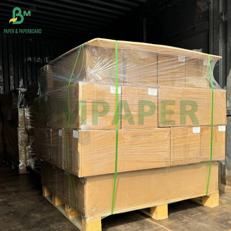 Double Sides Coated 120gsm High Glossy Photo Paper Inkjet Printing 11" x 17"