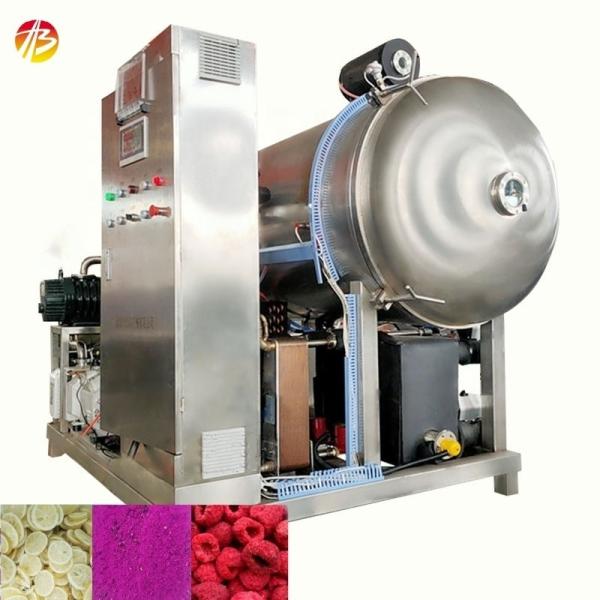 304 Stainless Steel Freeze Dryer Machine for Drying of Fruits Vegetables and