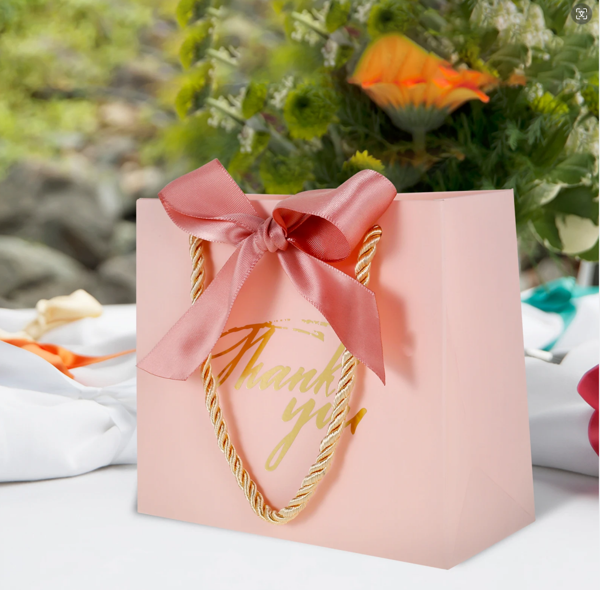 Clothing Packaging Shopping Bag With Ribbon Handle And Custom Logo