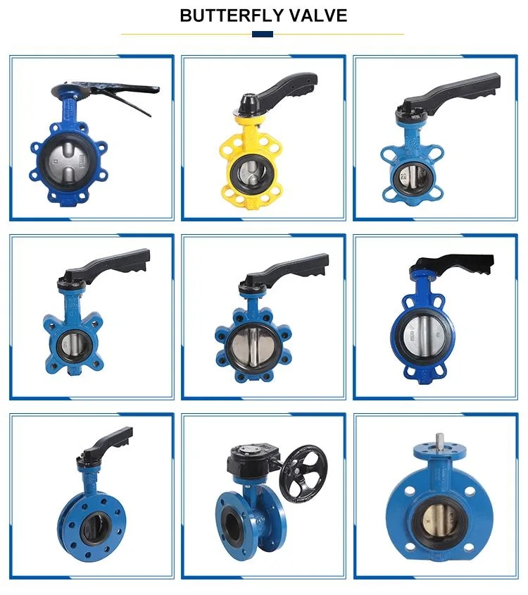 Customized Service SS304 Stainless Steel Sanitary Butterfly Valve with Hand Lever