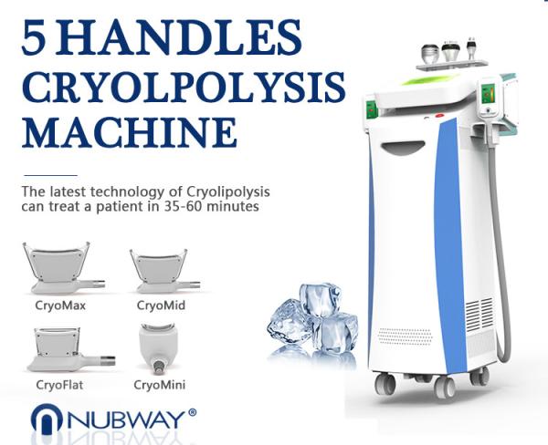 4 in 1 technology best selling effective Cool Cryolipolysis Full Body Weight