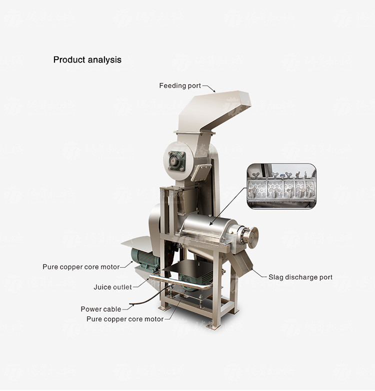 Fruit And Vegetable Juicer Single Screw Juicer Large Press