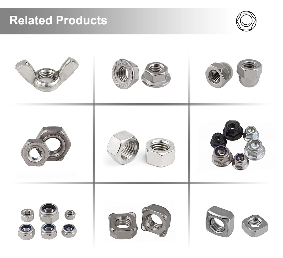 Hexagon Nut/Flange Nut/Cap Nut with Toothed Anti-Skid Flange DIN6923