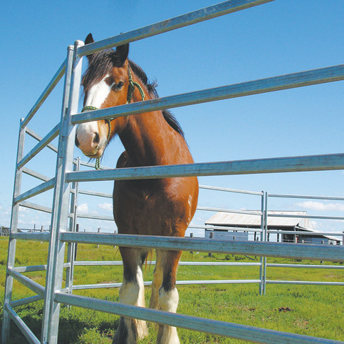 Horse Round Yards 20 Meter,Australia Style Corral,Cattle Yards