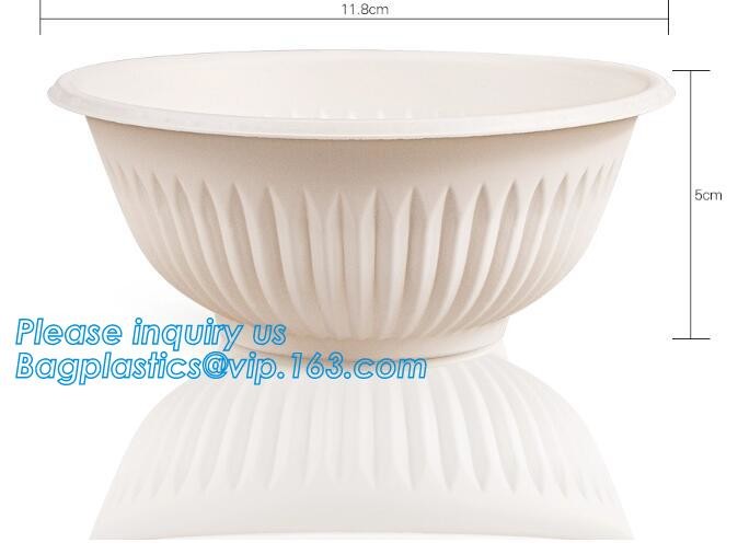 Meal Prep Containers Free Sample Bento Lunch Box Biodegradable Food Container Plastic Wheat Straw Lunch Box bagplastics