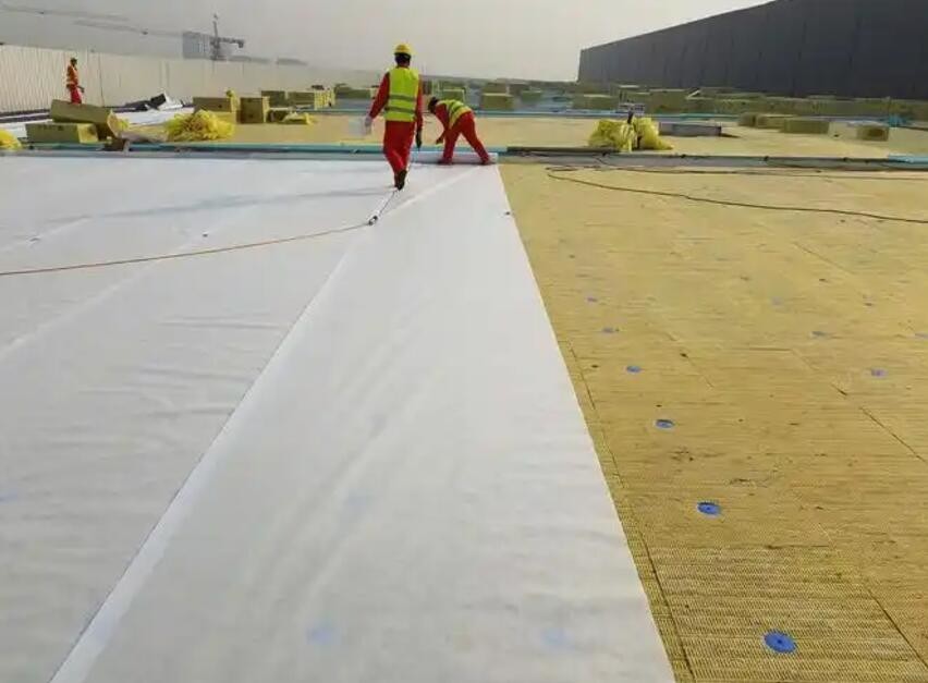 High Polymer Composite Waterproof Roll Extrusion Line Geomembrane Sheet Extrusion Machine