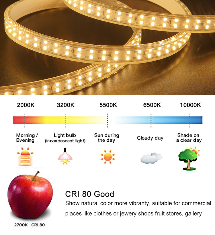 DC220V Smd 2835 Led Strip 12.5W/M Color Change Outdoor Led Strip