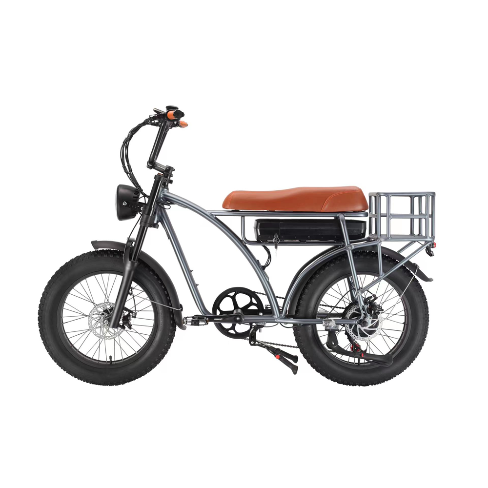 Electric Fat Bike 500W 750W Super Nice 73 Electric Bike with 48V 18AH Lithium Battery