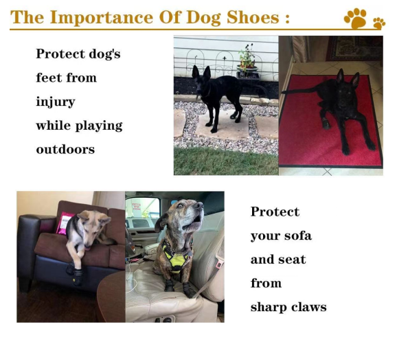 Waterproof Pet Shoes Durable Reflective Anti - Slip Dog Shoes
