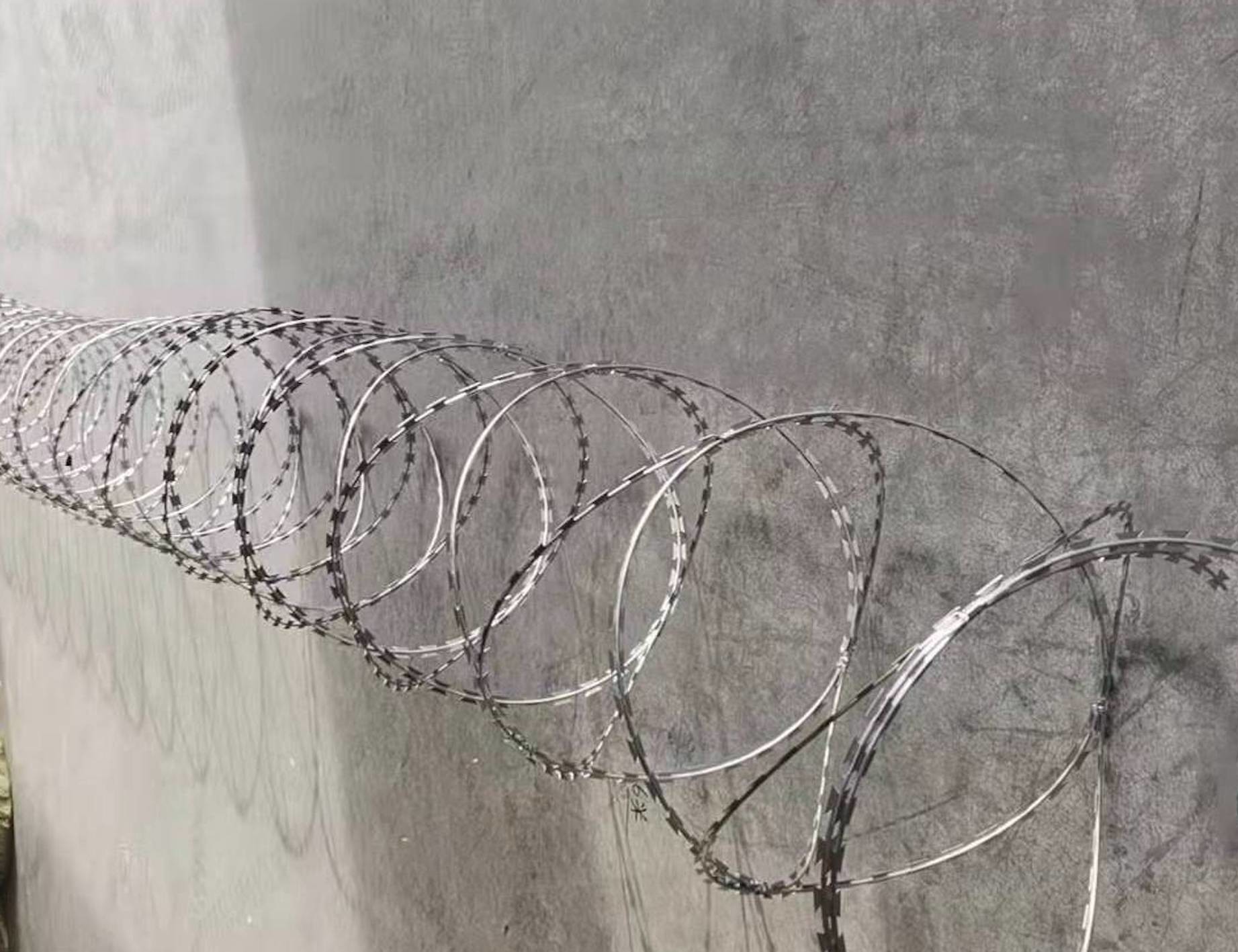 Snake Belly Razor Barbed Wire 500mm 10M Security Razor Wire Fencing