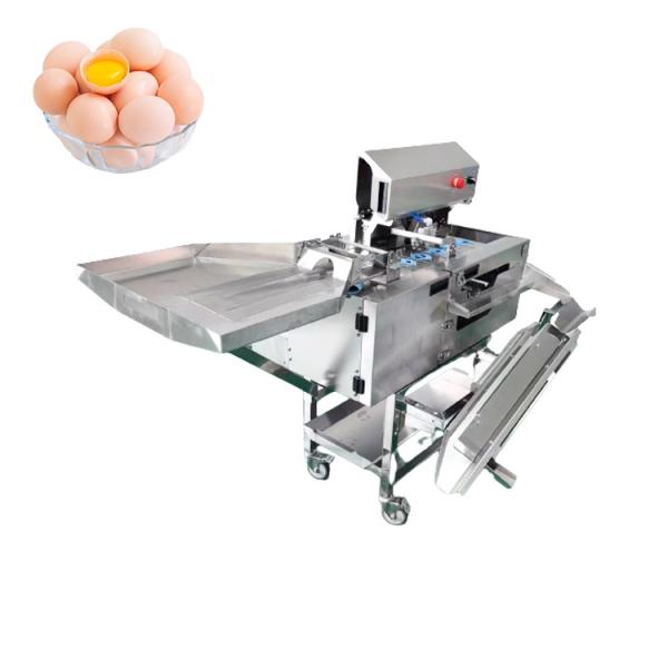 Stainless Steel Egg Separator Machine 3000pcs/H White Yolk Egg Breaking And