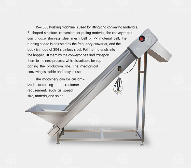 380V Vegetable Processing Machine Automatic Elevator Food Conveying