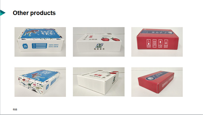 OEM Custom Corrugated Carton Frozen Adapt Apple Subscription Box