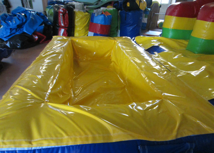 Customized Large Inflatable Water Slides , Blow Up Pool Slides For Inground Pools
