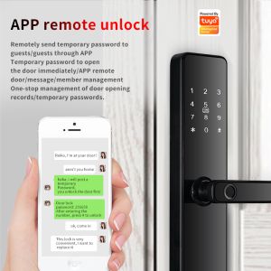 Intelligent Access Control Door Lock S819 with Tuya TTlock and Remote Control