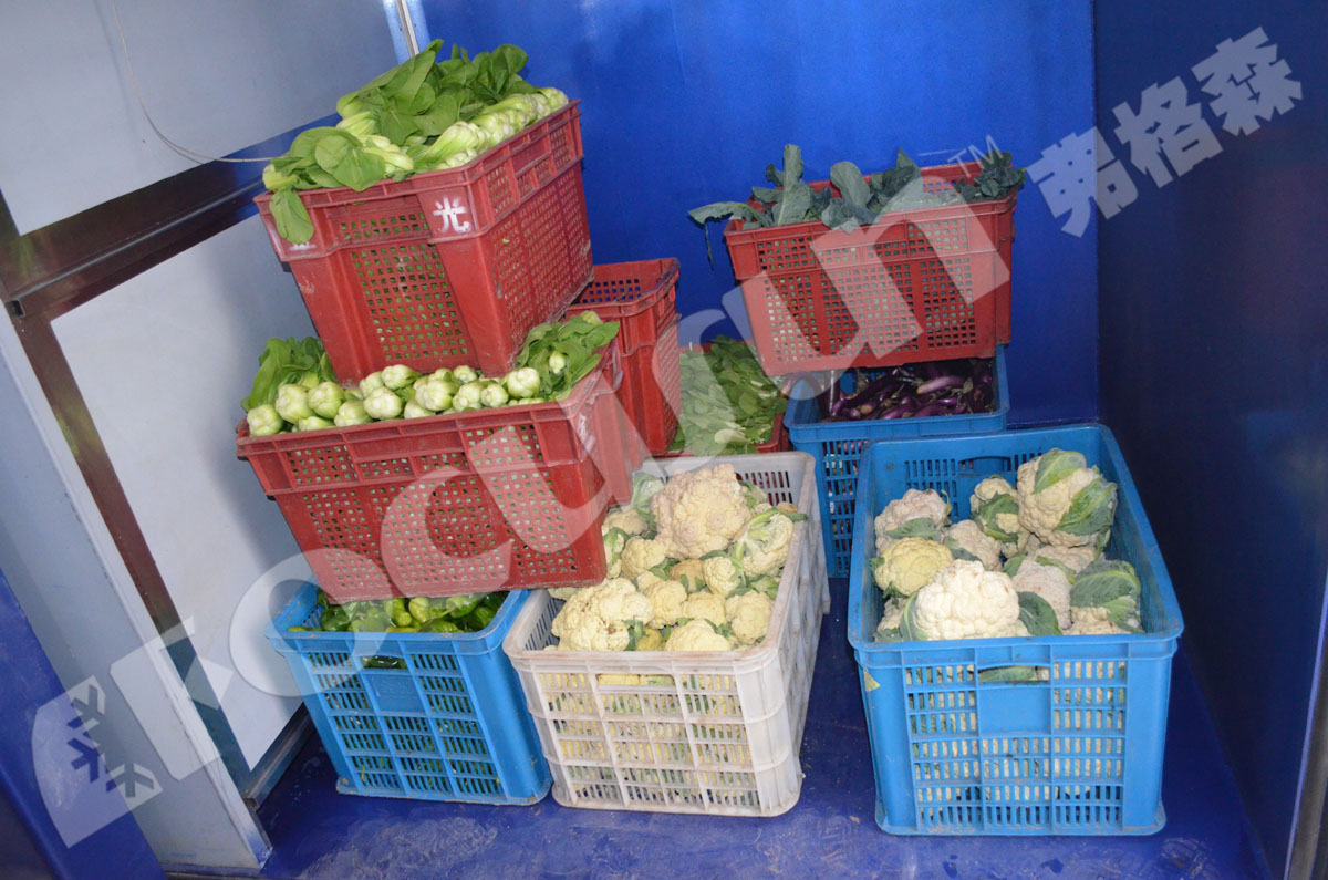 100mm Panel Thickness Farms Pre Cooling Machine Vacuum Cooler for Flowers and Vegetables