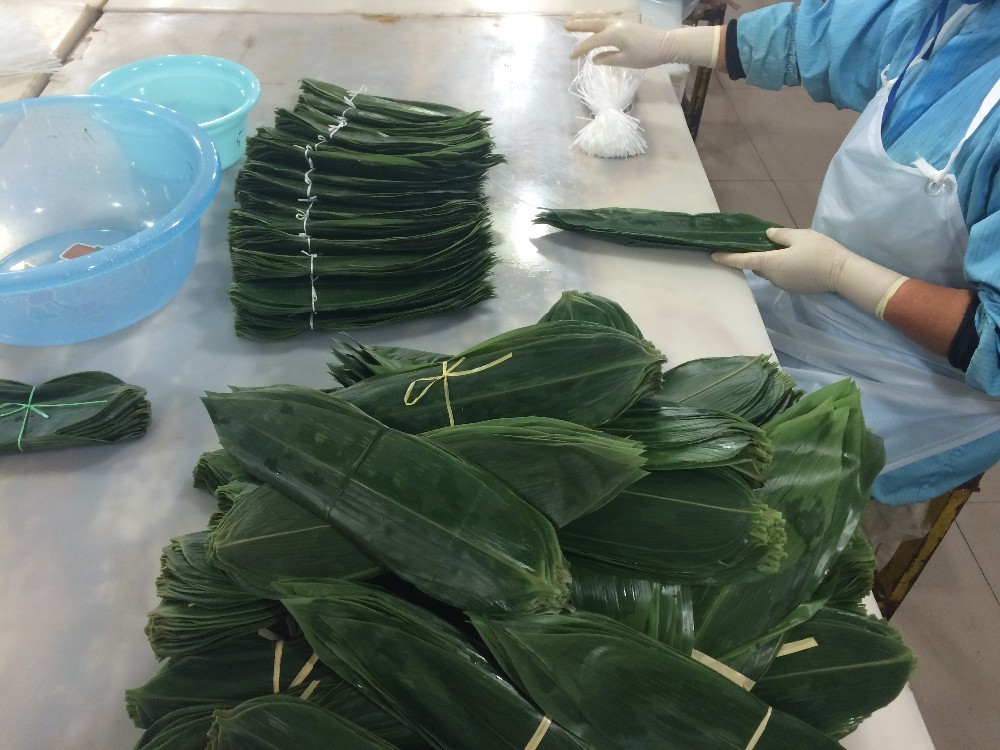 Natural Green Active Polysaccharide 35cm Fresh Bamboo Leaves